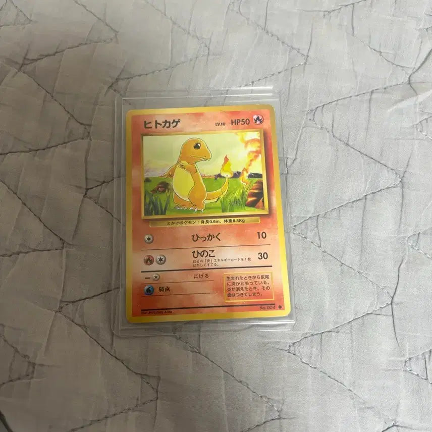 [BUNJANG] Charizard BRG9 Card / 리자몽 brg9 팔아요