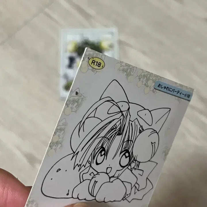 [BUNJANG] Digi-Chara Card Bundle (2 Cards) / 디지캐럿카드 2장 일괄