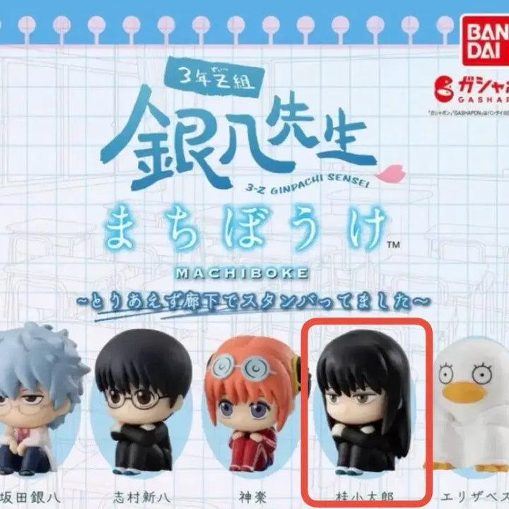 [BUNJANG] Gintama 3Z Machi Bokke Kazura / 은혼 삼젯 마치보우케 카즈라