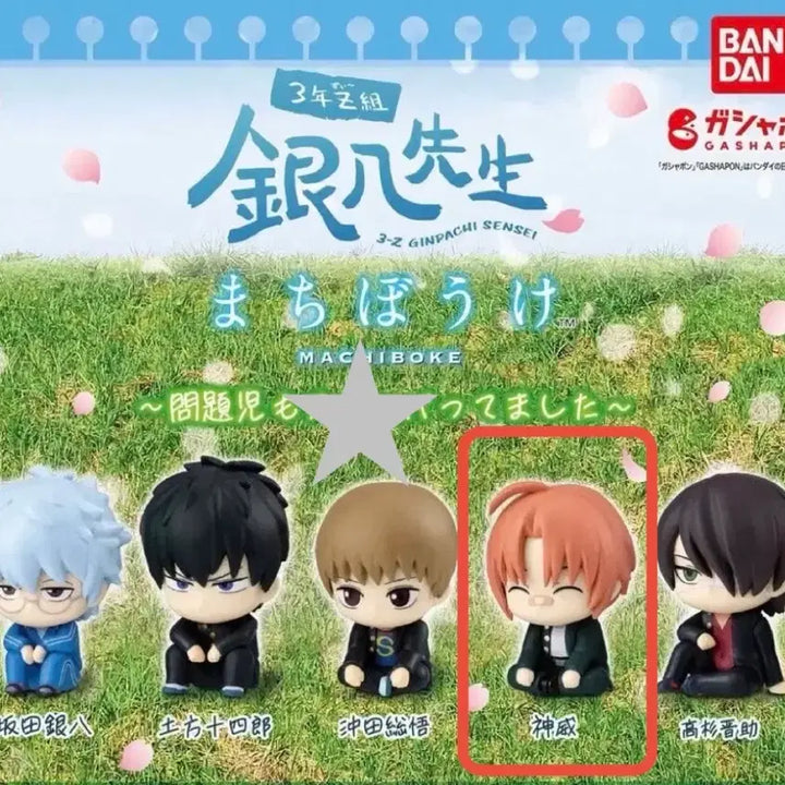 [BUNJANG] Gintama Sanjyo Machiboke Kamui / 은혼 삼젯 마치보케 카무이