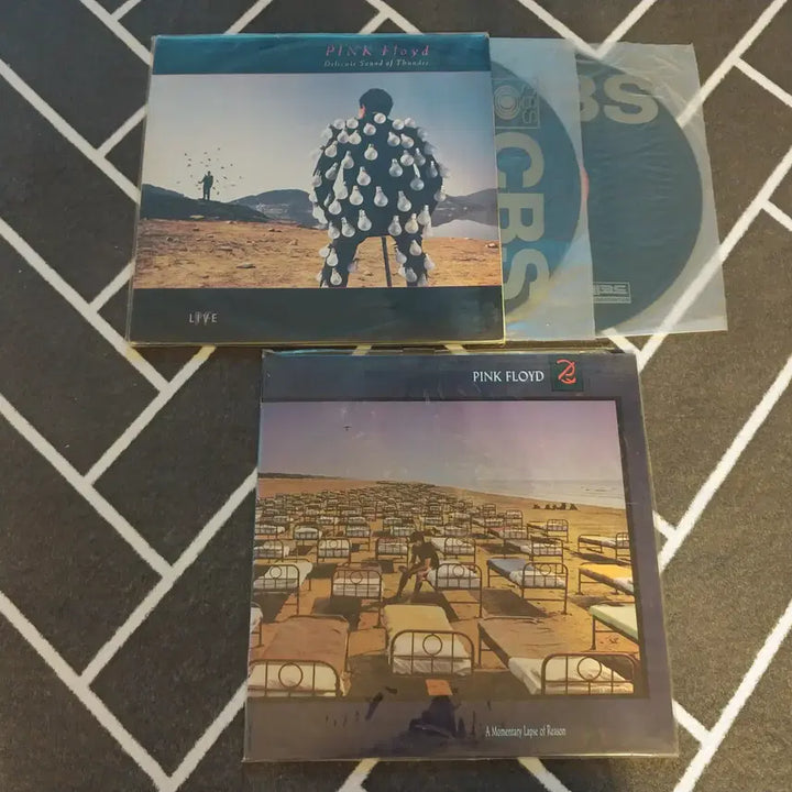 [BUNJANG] Pink Floyd Delicate Sound of Thunder &amp; A Momentary Lapse of Reason (LP) Bundle / 핑크플로이드 앨범(LP,레코드판) 2개 판매합니다.