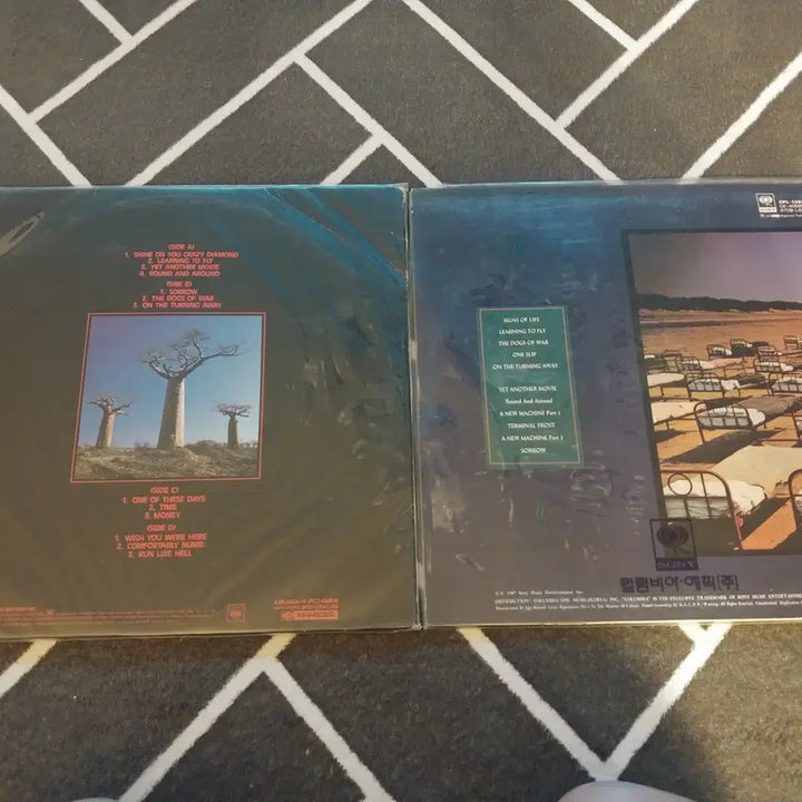 [BUNJANG] Pink Floyd 2 LP Records Bundle / 핑크플로이드 앨범(LP,레코드판) 2개 판매합니다.