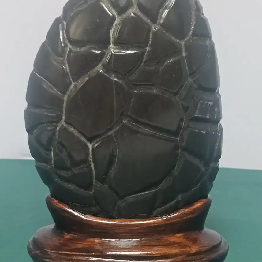 [BUNJANG] Large Chinese Suiseki (Turtle Shell Stone) / 수석(구갑석)