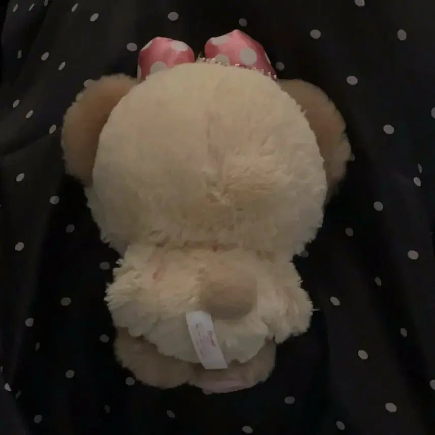 [BUNJANG] Cute Bear Plush Toy with Pink Polka Dot Ribbon / ....,, 이름모에요얘모르겠는데귀여움 웅웅..<3