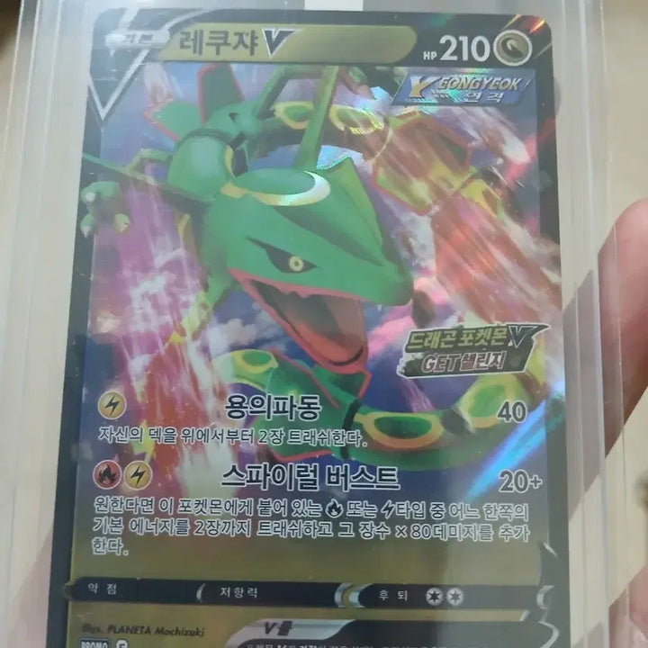 [BUNJANG] Rayquaza Promo Graded Card / 레쿠쟈 프로모 등급용 판매