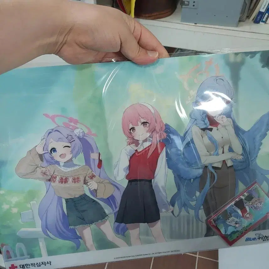 [BUNJANG] Blue Archive Poster Set (3 Types) / 블루 아카이브 포스터 1종