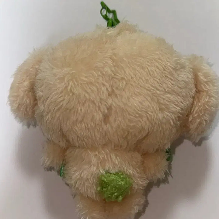 [BUNJANG] NCT WISH Dentaver Wish Doll / 엔시티 위시 댕트리버 위시돌
