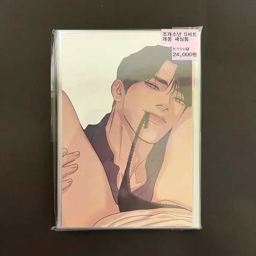 [BUNJANG] MoFun Baekgu Boys Doshik Juhah Postcard Set / 모펀 조개소년 두식 주하 엽서 세트 잉깅작가 굿즈