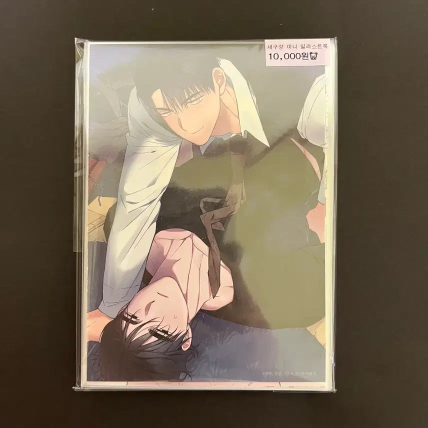 [BUNJANG] Jaeimi Shop Dawn Cloud Gang SaeGuGang HyoUn TaeHyuk Mini Illustration Book Postcard Goods Set / 재이미샵 새벽구름강 새구강 효운 태혁 미니 일러스트북 엽서 굿즈