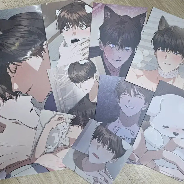 [BUNJANG] Kang Geon Ma (Do Not Touch The Dog) MoFun Acrylic Standee, Lucky Draw Poster, Postcard, Coaster Set / 강아지는 건들지 마라 강건마 모펀 아크릴 코롯토 특전 포스터 엽서 코스터