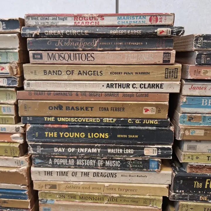 [BUNJANG] 1950s Vintage American Novel Books (64 Volumes) / 1950년대 빈티지 미국(원서) 소설책 64권