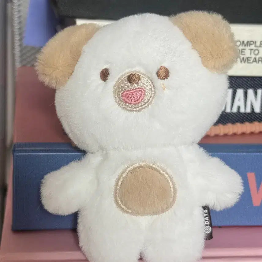 [BUNJANG] DAY6 Dowoon Petit Don (Includes Adoption Certificate, Excludes Bath) / 데이식스 도운 쁘띠 돈 (목욕 외출 x 입양증O)