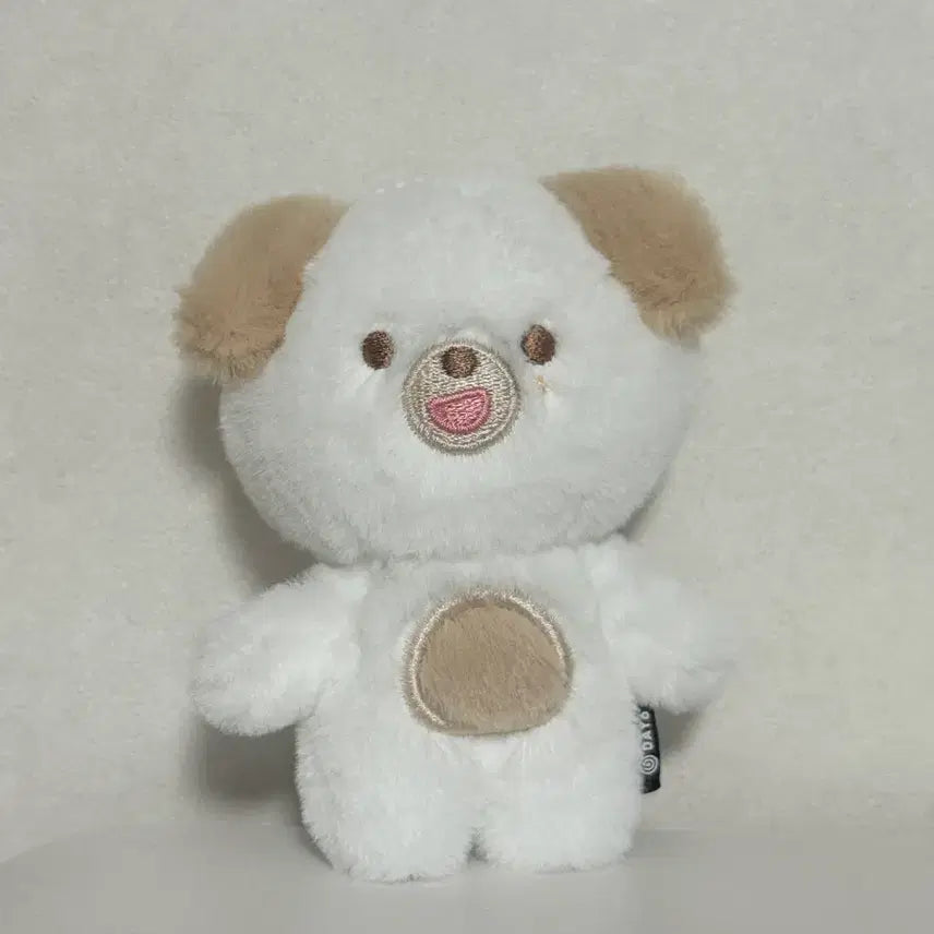 [BUNJANG] DAY6 Dowoon Petit Don (Includes Adoption Certificate, Excludes Bath) / 데이식스 도운 쁘띠 돈 (목욕 외출 x 입양증O)