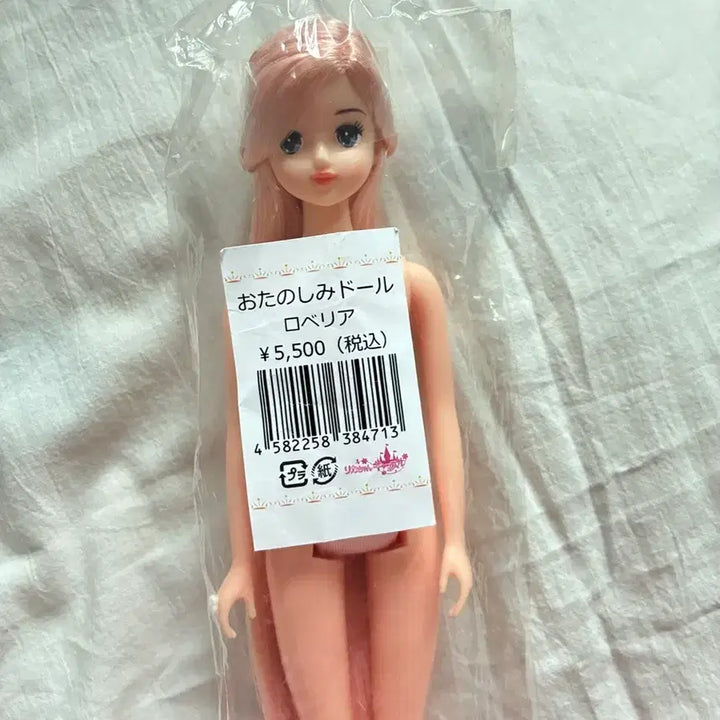 [BUNJANG] Otano Shimidoberia Unsealed Doll / 오타노시미돌 로베리아
