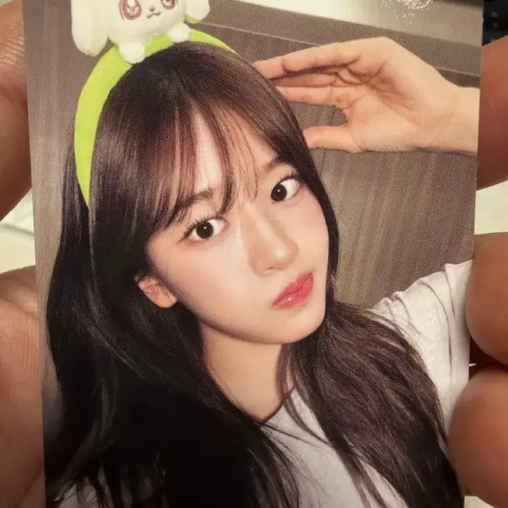 [BUNJANG] IVE Yujin Everland Mini-B Special Edition Photocard / 아이브 미니브 에버랜드 유진 7만원특전