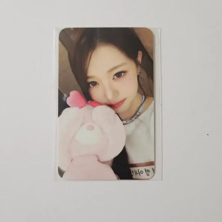 [BUNJANG] IVE Wonyoung Everland Photocard / 아이브 원영 에버랜드 입장 포카 MD 엠디 포토카드 미니브 포토패스