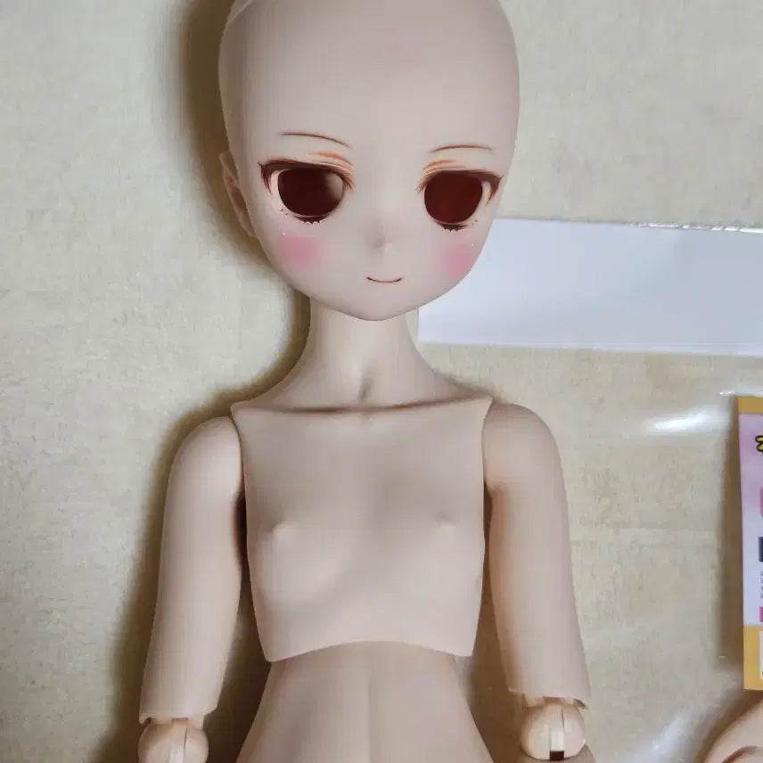[BUNJANG] MDD F3 Flash Body Ball-Jointed Doll / mdd f3 플래시 본체 구체관절인형