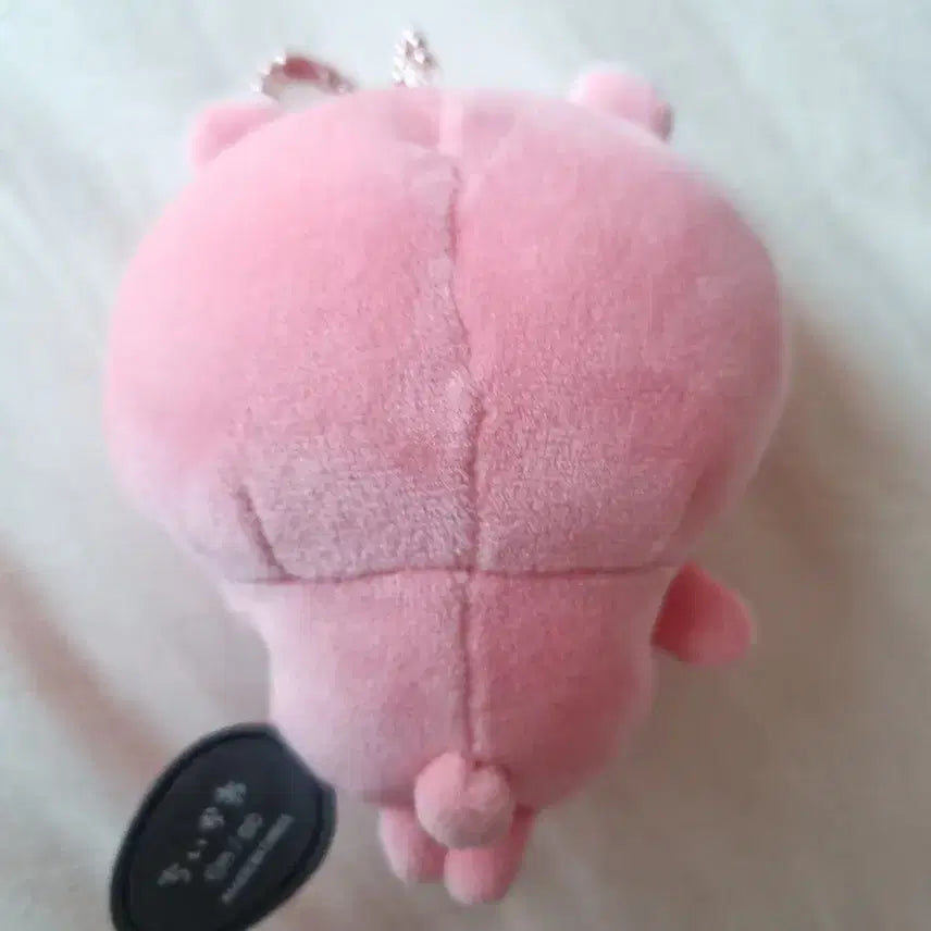 [BUNJANG] Chiikawa Spicy Curry Plush / 매운카레 치이카와 인형