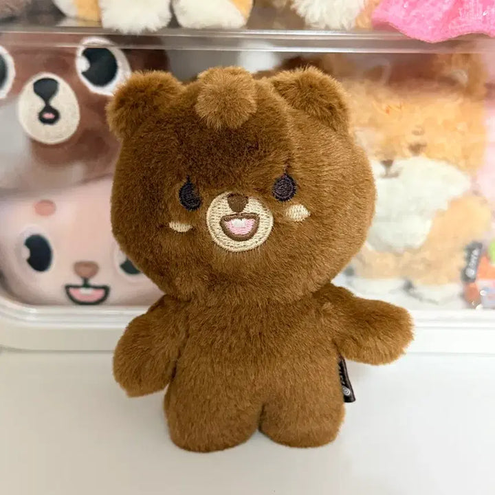 [BUNJANG] Day6 Sungjin Petit Bang 10cm Doll / 쁘띠 방 10cm (외출 목욕X / 기타 옷 증정)