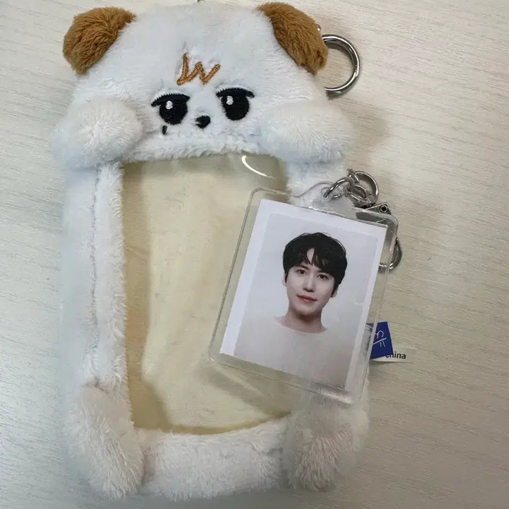 [BUNJANG] Cho Kyu-sung Photocard Holder Keyring / 조규매 포카 홀더 키링
