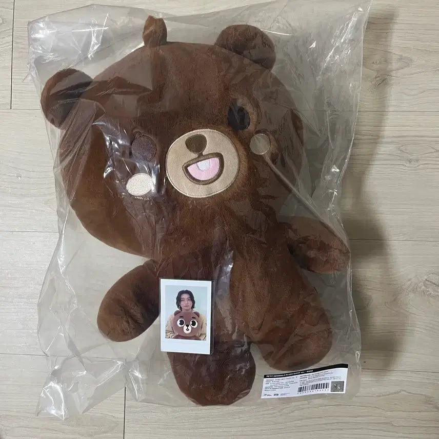 [BUNJANG] Day6 Giant Petit Merz Bang &amp; Jademal Polar Bundle Set / 데이식스 자쁘멀 방+자데멀 폴라 일괄판매
