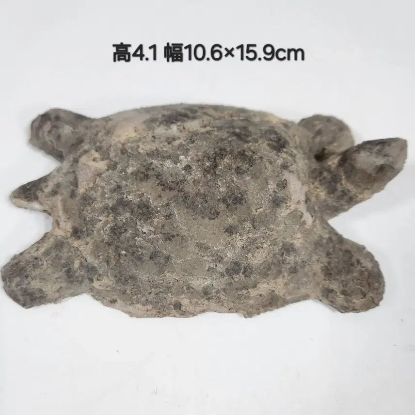 [BUNJANG] Chinese Limestone Turtle Statue Ming Dynasty / 중국도자기              명말기 석회암 거북 상