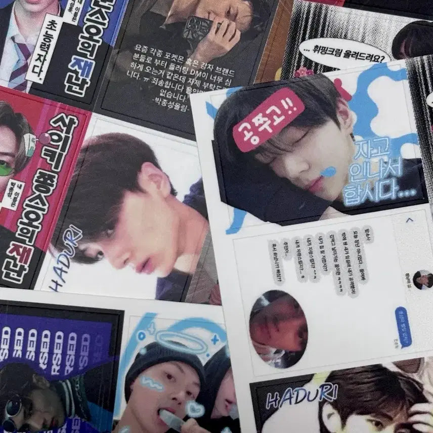 [BUNJANG] ENHYPEN Photocards, Plush Doll Concert Bundle Set / 엔하이픈 프리쿠라 양도 포카 인형 콘서트