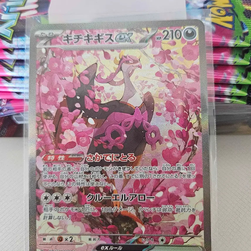 [BUNJANG] Pokemon Card Japanese - Phantom/Dragonite MA, Groudon SAR Bundle Set / 포켓몬카드 일판 팬텀/망나뇽 ma , 기로치 sar 일괄 판매합니다.