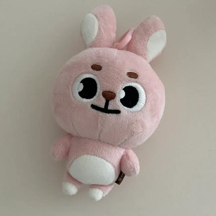 [BUNJANG] DAY6 Wonpil DENIMALS Plush Doll 2020 Version / 2020 구버전 데니멀즈 필끼 원필 인형 데이식스