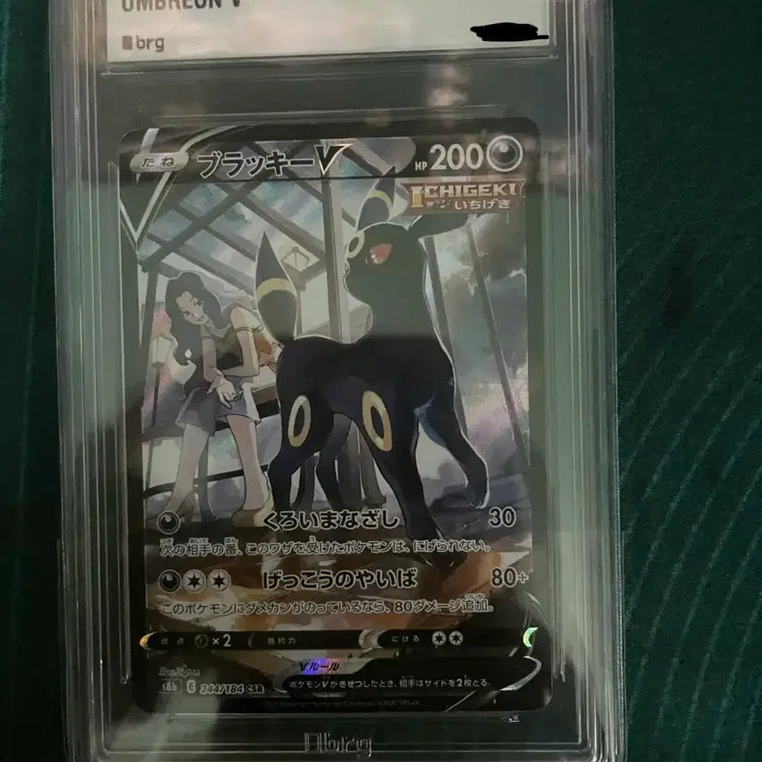 [BUNJANG] Pokemon Card Graded Cards Bundle / 포켓몬카드 등급카드 판매