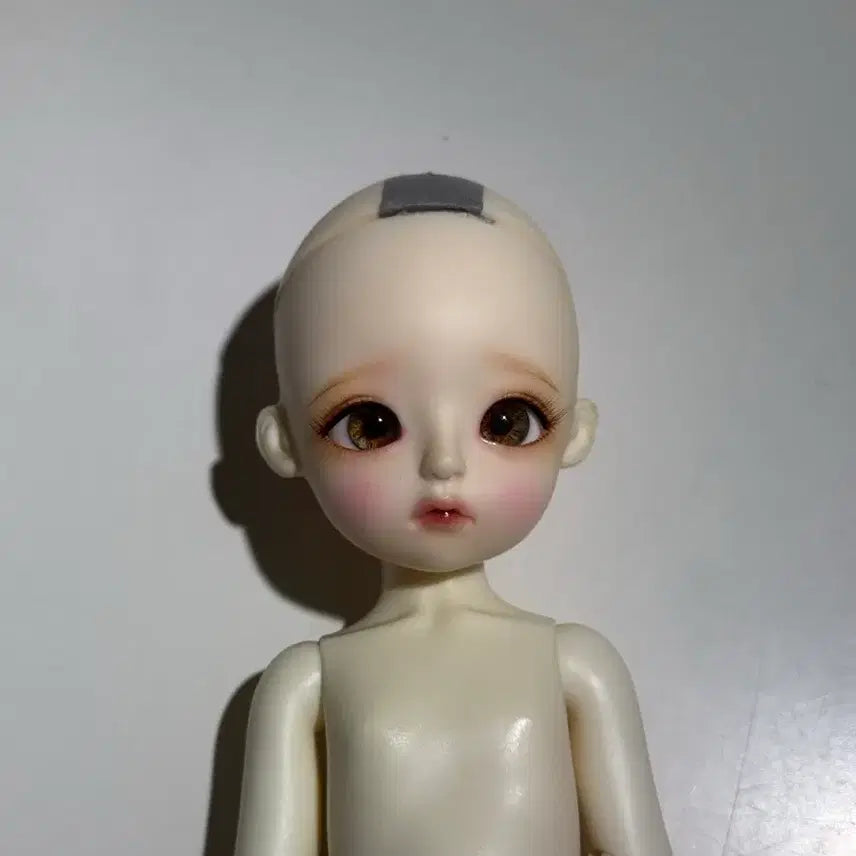 [BUNJANG] LinaShoSho Melissa Doll / 리나슈슈 멜리사 헤드