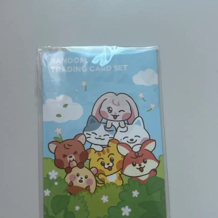 [BUNJANG] NCT Dream Photocard Set - Jeno, Chenle / 드리미즈 포토카드 세트