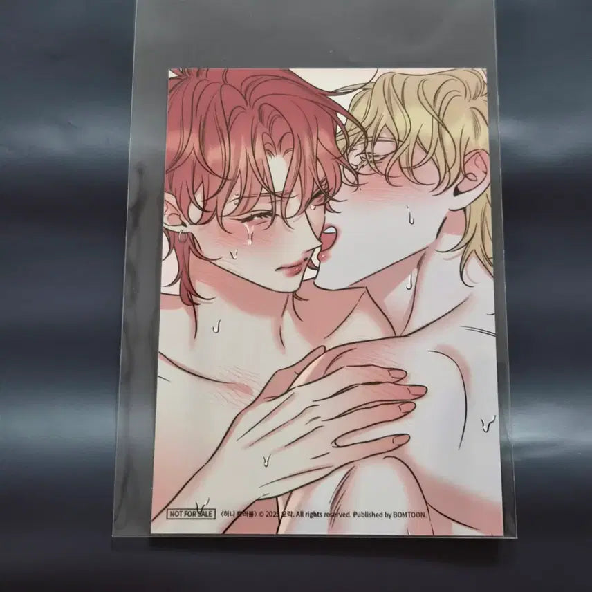 [BUNJANG] Bomtoon Home Party Honey Trouble Skinship Printed Photo / 봄툰 홈파티 허니 트러블 스킨십 인화사진