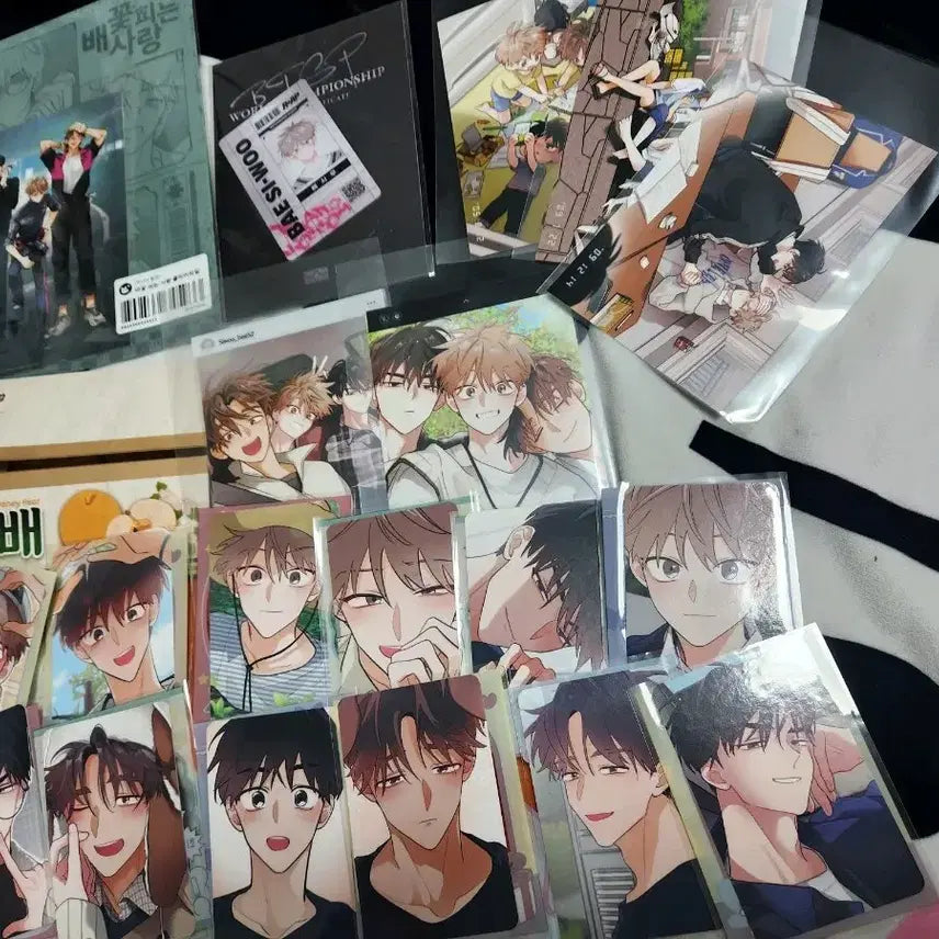 [BUNJANG] Bae Siwoo "Blooming Pear Blossom Love" Clear File, Photo Set, Photocard Bundle / 배꽃 피는 사랑 클리어파일 배시우 라이센스 패키지 인화사진 세트 포토카드
