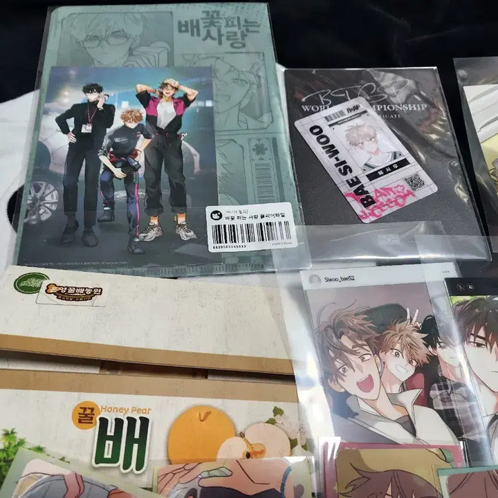 [BUNJANG] Bae Siwoo "Blooming Pear Blossom Love" Clear File, Photo Set, Photocard Bundle / 배꽃 피는 사랑 클리어파일 배시우 라이센스 패키지 인화사진 세트 포토카드