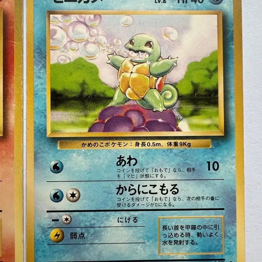 [BUNJANG] Pokemon Japanese Early Edition Charizard, Squirtle, Bulbasaur, Eevee Cards / 포켓몬스터 포켓몬 초기 일판 파이리 꼬부기 이상해씨 이브이 카드 (2)