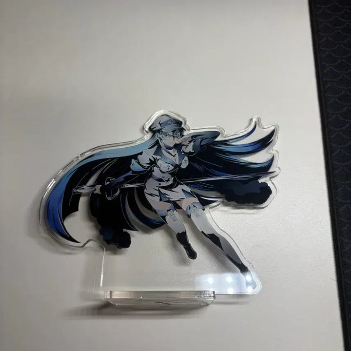[BUNJANG] Akame ga Kill Esdeath Acrylic Stand / 아카메가 벤다 에스데스 아크릴스탠드
