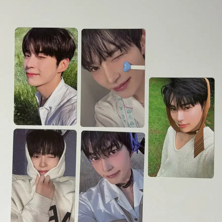 [BUNJANG] ZB1 Sung Han Bin Photocard Bundle Set / 제로베이스원 성한빈 포카 일괄