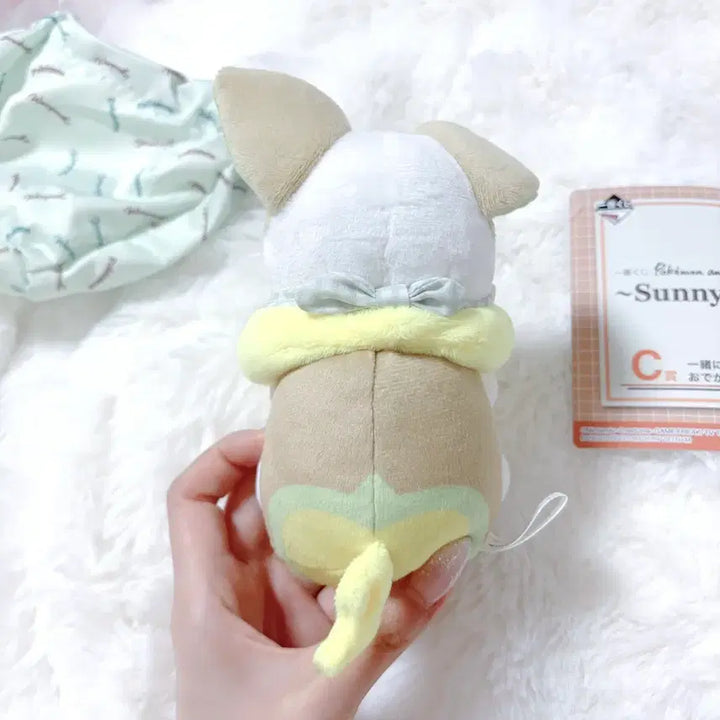 [BUNJANG] Ichiban Kuji C Prize Picnic Pawmi Plush / 포켓몬 이치방쿠지c상 피크닉 멍파치