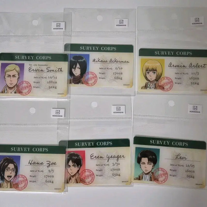 [BUNJANG] Attack on Titan Garrison Card Set Levi Erwin Hange Mikasa Eren Armin (Sealed) / 미개봉) 진격의 거인 병단증 카드 리바이 엘빈 한지 미카사 에렌 아르민