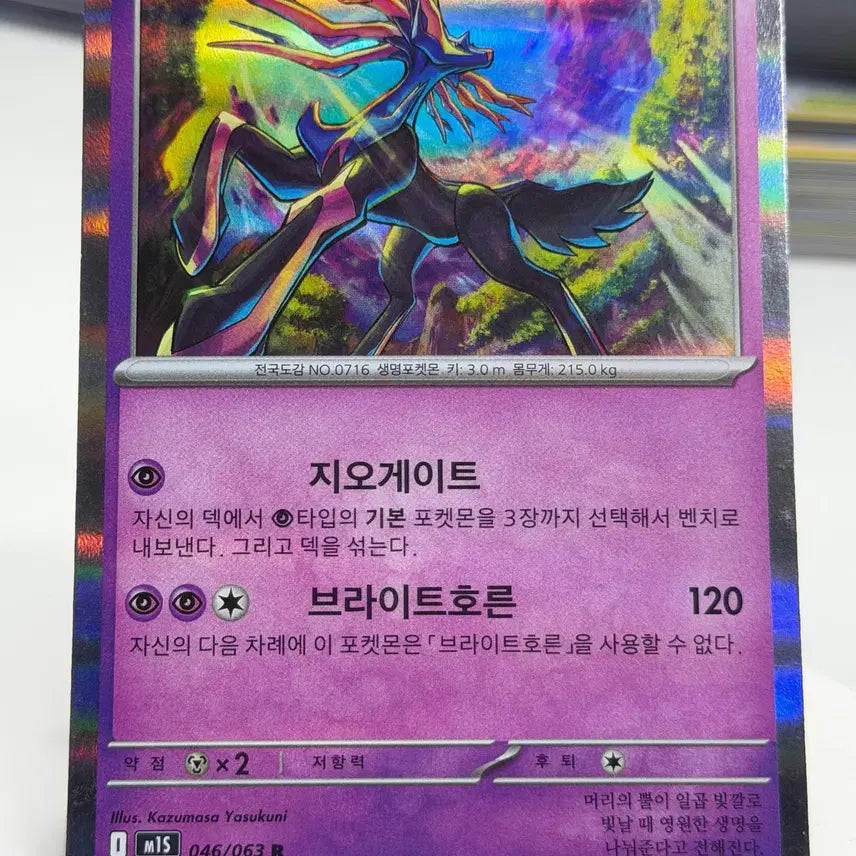 [BUNJANG] Xerneas M1s 046/063 R / 제르네아스 m1s 046/063 R (500)원