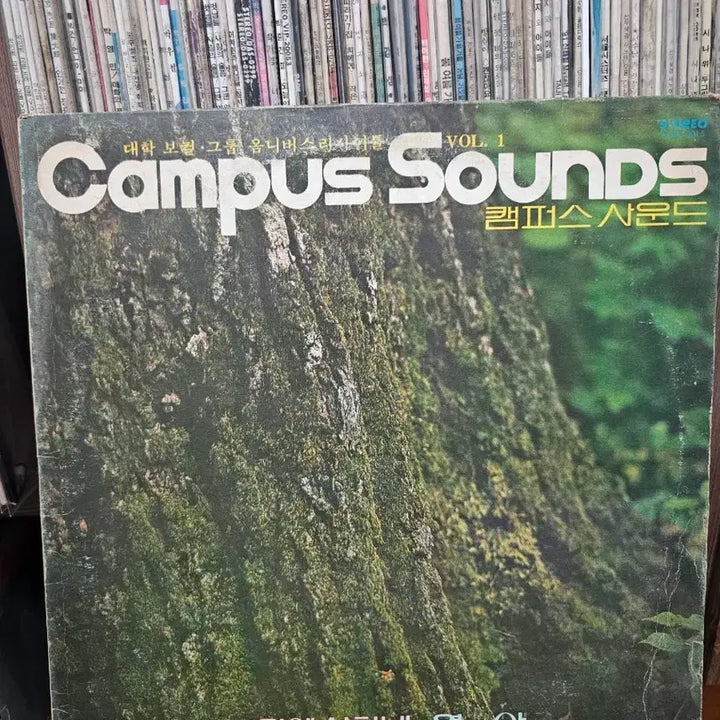[BUNJANG] Campus Sound LP Vinyl / 캠퍼스사운드 LP