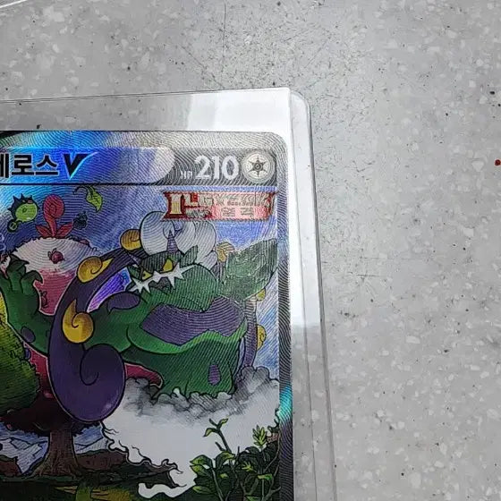 [BUNJANG] Pokemon Card Tornadus Special Edition / 포켓몬카드 토네로스 특일