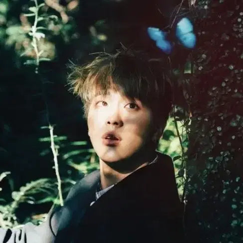 [BUNJANG] BTS Jin Speak Yourself DVD Photocard Lucky Draw Arirang Gift / 방탄 석진 스픽 디비디 포카 양도 특전 럭드 아리랑 기프트