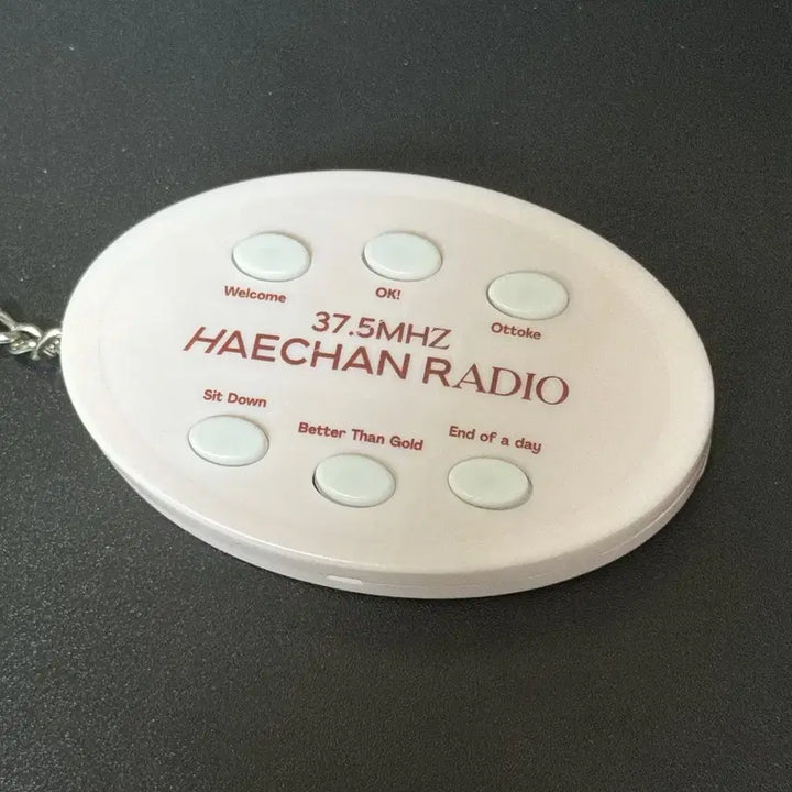 [BUNJANG] NCT Haechan Radio 37.5MHz Voice Keychain / 엔시티 해찬 라디오 37.5MHz 보이스 키링 양도