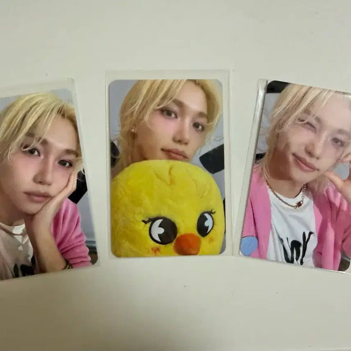 [BUNJANG] Stray Kids Felix &