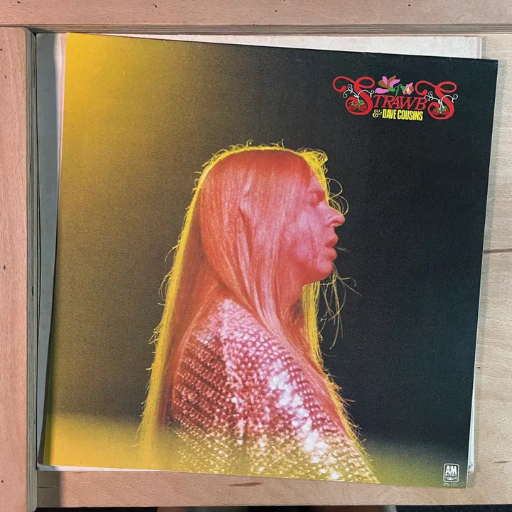 [BUNJANG] Strawbs &amp; Dave Cousins 1973 Japan LP / Strawbs &amp; Dave Cousins 일본 1973년 LP