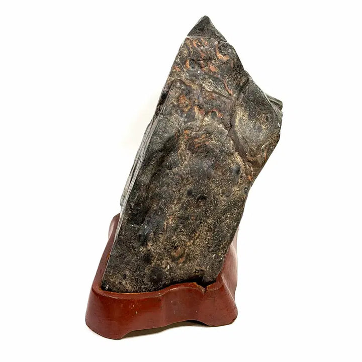 [BUNJANG] Yeongdeok Tiger Stripe Stone Raw Stone Suiseki / 영덕 공작호피석 원석 수석
