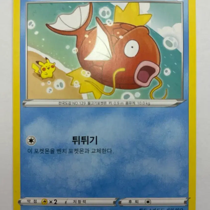 [BUNJANG] Kannahei Magikarp Pokemon Card / 칸나헤이 잉어킹 카드 판매합니다. A-2