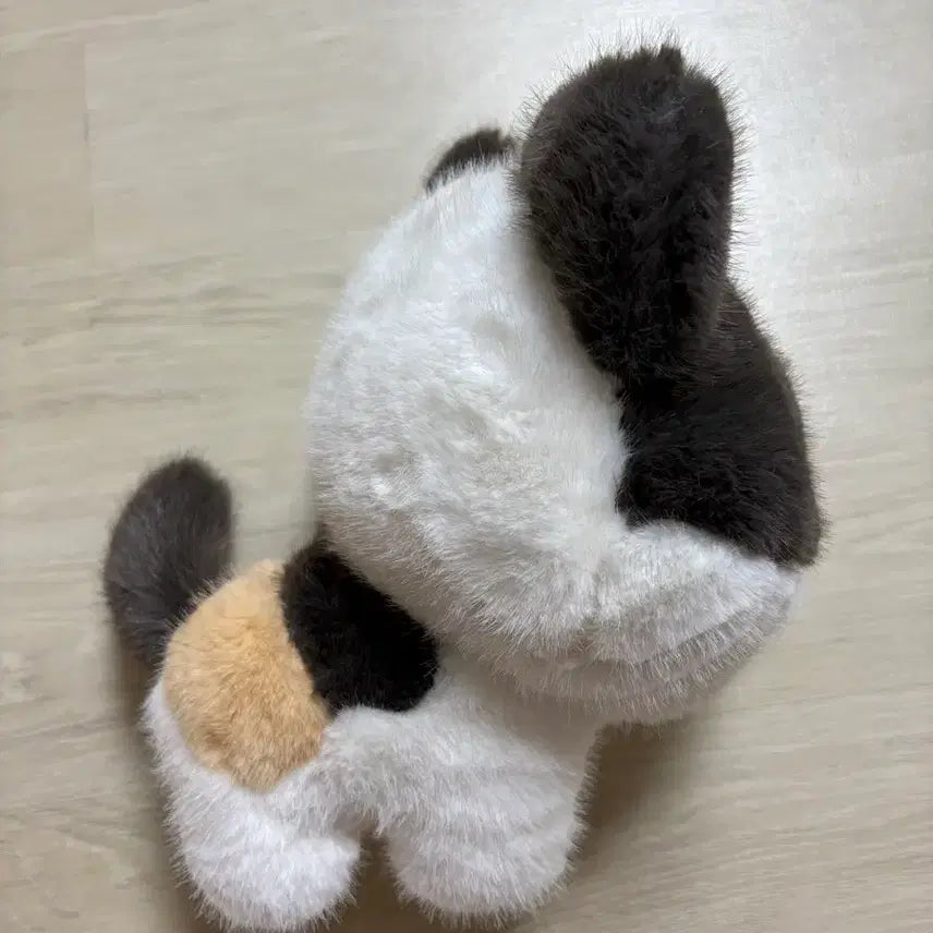 [BUNJANG] Liar Cats Tricolor Medium Standing Plush Toy New / 라이어캣츠 고양이 삼색이 중형인형 스탠딩 새상품